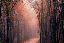 旺财28官网：记者：皇马以及巴西、美国两支国家队对克洛普感兴趣.