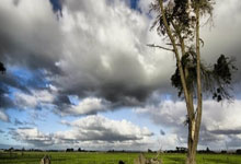 [图]U20亚洲杯-蒯纪闻破门 国青2-1卡塔尔迎开门红.