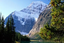 39岁C罗罚进点球 第200次主罚打进169球历史第一.