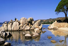 旺财28官网：WTT法兰克福冠军赛签表出炉 王楚钦、王曼昱领衔男女单打央视新闻客户端.